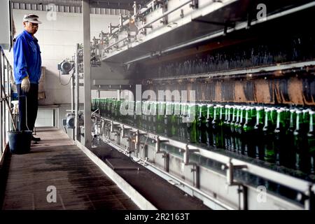 Una fabbrica di imbottigliamento della birra a Kaiyuan, provincia dello Yunnan, Cina Foto Stock