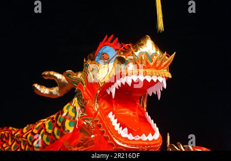 Capodanno cinese - anno del maiale, celebrazioni a Londra. Spettacoli di danza del drago sul palco a Trafalgar Square Foto Stock