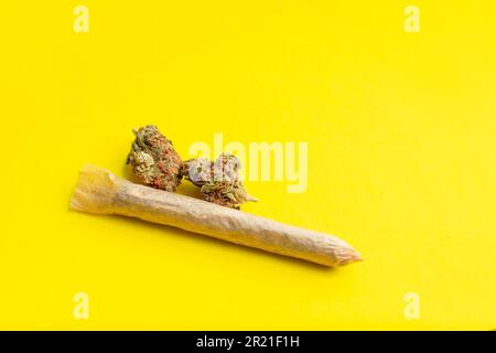 Un primo piano di germogli di marijuana e un'articolazione su sfondo giallo Foto Stock