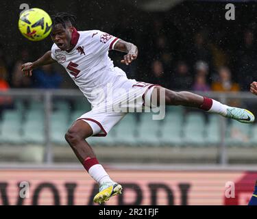 Verona, Italia. 14th maggio, 2023. Bentegodi Stadium, 14.05.23 Wilfried Singo (17 Torino FC) durante la Serie Una partita tra Hellas Verona e Torino FC allo Stadio Bentegodi di Verona, Italia Soccer (Cristiano Mazzi/SPP) Credit: SPP Sport Press Photo. /Alamy Live News Foto Stock