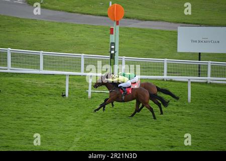 Londra, Regno Unito. 16th maggio 2022. Captain Winters, guidato da Neil Callan (cappello giallo e nero) vince gli Heron Stakes (elencati) davanti al Grey's Monument (sete verdi) all'ippodromo di Sandown Park, Regno Unito. Credit: Paul Blake/Alamy Live News. Foto Stock