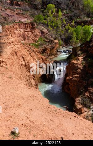 Cascate Navajo lungo Havasu Creek, vicino al villaggio di Supai, Arizona, Stati Uniti. Foto Stock