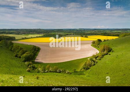 La spettacolare vista che guarda a nord da Win Green, Wiltshire attraverso Cranborne Chase, un'area di straordinaria bellezza naturale (AONB) Foto Stock