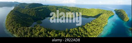 Un grande lago marino si trova all'interno di bellissime isole calcaree che sorgono dal mare di Papua Occidentale. I laghi marini sono ecosistemi di acqua salata chiusi. Foto Stock