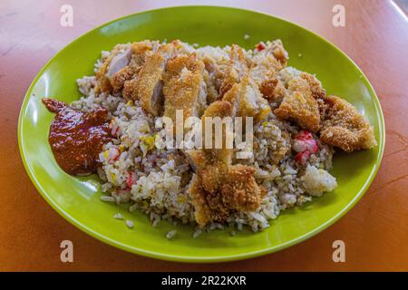 Cibo a base di carne a Singapore - riso con pollo impanato Foto Stock
