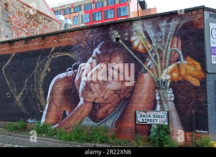 Back Seel Street Mural , 47 Seel St, Liverpool , Merseyside, Inghilterra, UK, L1 4AZ - Liam Bononi Foto Stock