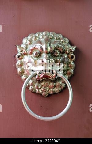 Gabbiatore della porta del leone guardiano cinese; gabbiatore con faccia del leone custode imperiale; ornamento architettonico tradizionale cinese; Taipei, Taiwan. Foto Stock