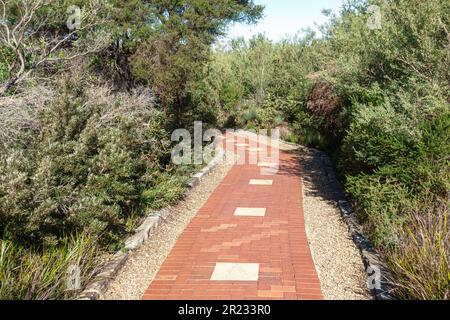 Passeggiata commemorativa dell'Australia al North Head Sanctuary di Manly, Sydney Foto Stock