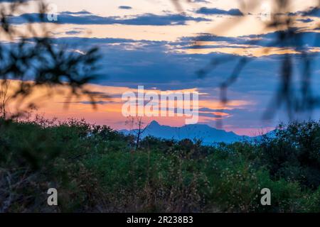 Tramonto sulle Montagne Baboquivari a sud di Tucson, Arizona, visto dal Madera Canyon Foto Stock