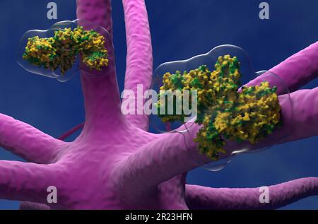 La tossina botulinica sfugge e viaggia nel sistema nervoso centrale - 3D illustrazione vista da vicino Foto Stock