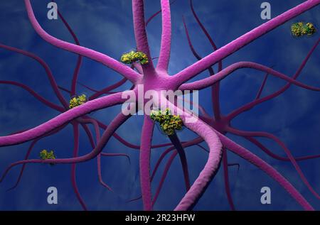 La tossina botulinica sfugge e viaggia nel sistema nervoso centrale - 3D illustrazione vista isometrica Foto Stock