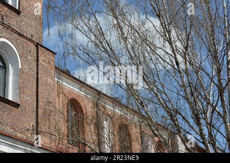 Frammento di vecchio edificio di mattoni rossi e un albero che cresce accanto. Foto Stock