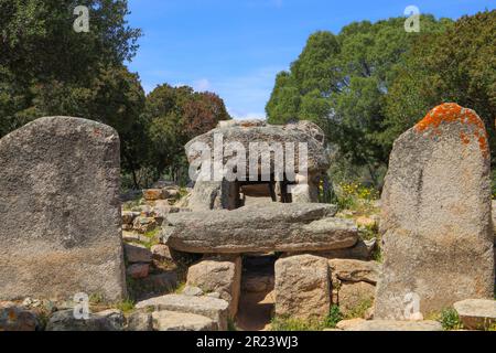 Tomba dei Giganti di su Mont'e s'Abe (Tomba dei Giganti su Monte 'e S'Abe) a Olbia - Sardegna Foto Stock