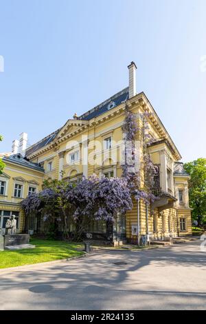 Sofia, Bulgaria. Maggio 2023. vista esterna del glicine che decora una vecchia casa nel centro della città Foto Stock