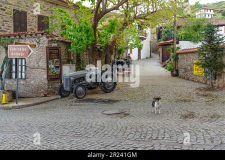 Birgi, Odemis, Izmir, Turchia - Aprile 27 2023: Vita quotidiana a Birgi, una piccola cittadina situata nel distretto di Odemiş nella provincia di Izmir in Turchia Foto Stock