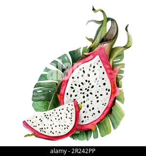 Frutta rosa drago metà e fetta con foglie di palma tropicale illustrazione acquerello. Pitahaya stampa botanica Foto Stock