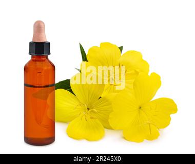Enagra comune con fiori di bottiglia essenza isolato su bianco Foto Stock