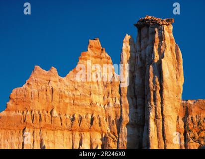 FRANCIA. PIRENEI ORIENTALI (66) ILLE SUR TET. SITO ORGUES Foto Stock