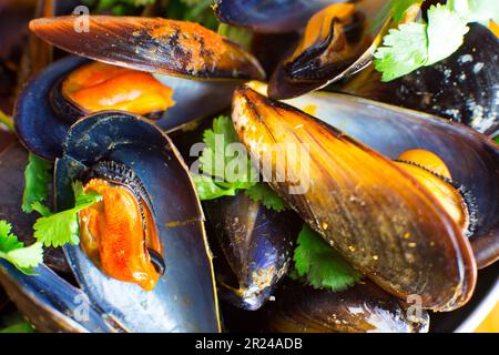 Cozze al vapore con verdure e salsa. Tradizionale tapa spagnola dalla costa mediterranea. Foto Stock