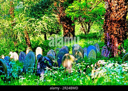 York Cemetery, Cemetery Road, York, Yorkshire, Inghilterra Foto Stock