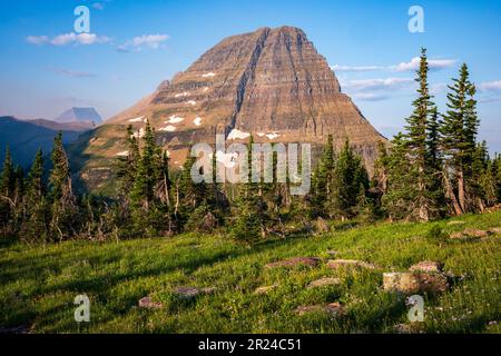 Vista sul lago nascosto, Glacier National Park nel Montana Foto Stock