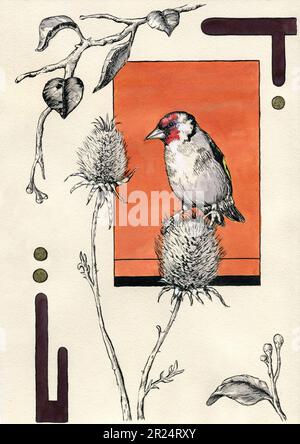 Goldfinch su un cardo fiore. Illustrazione a inchiostro tradizionale su carta. Foto Stock