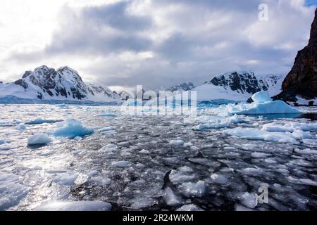 Cuverville, Antartide. Il ghiaccio si rompe nel canale di Errera. Foto Stock