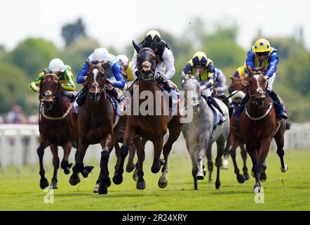 Scampi guidati dal jockey Hayley Turner sulla strada per vincere la gara Sky Bet Race all'Ebor Jorvik handicap il primo giorno del Dante Festival 2023 all'ippodromo di York. Data immagine: Mercoledì 17 maggio 2023. Foto Stock