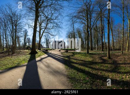 Maniero Oud Amelisweerd *** Caption locale *** Bunnik, Utrecht, Olanda, casa, foresta, legno, alberi, inverno, Foto Stock