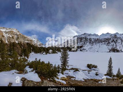 Congelato e innevato il laghetto Lägh da Cavloc *** Caption locale *** Maloja, Svizzera, paesaggio, foresta, legno, alberi, inverno, neve, Foto Stock