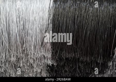 particolare del sistema di lavaggio automatico in bianco e nero pulisce le spazzole in spugna di polietilene in fibra sul rotore rotante Foto Stock