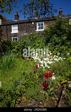 Cottage giardino, Holcombe, Bury Foto Stock