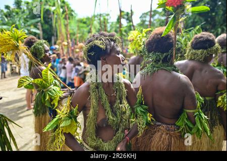 Le danze tradizionali delle popolazioni indigene sull'isola di Utupua nelle Isole Salomone sono ricche di significato culturale e spesso accompagnate da musica e movimenti ritmici. La Danza di benvenuto viene eseguita per accogliere ospiti o visitatori nella comunità. In genere è caratterizzato da costumi vibranti, movimenti gioiosi e espressioni di ospitalità e calore. Altri includono la danza di guerra, la danza di bambù o la danza del raccolto. Foto Stock