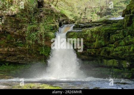 Bella cascata nel Brecon Beacons National Park, Galles, Regno Unito. Foto Stock