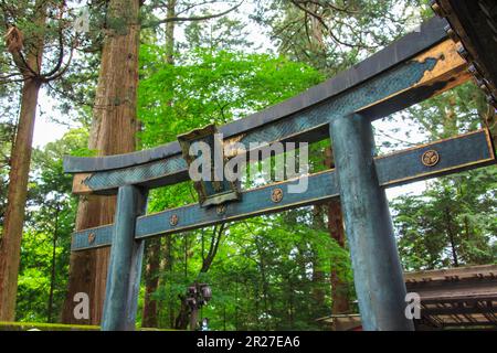 Porta torii a Okumiya Haiden (sala di culto del santuario interno)? Foto Stock