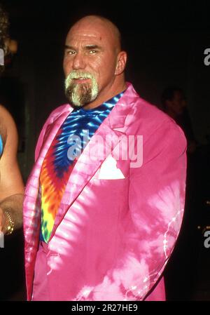 **FILE PHOTO** la superstar Billy Graham è scomparsa. Superstar Billy Graham credito di $1989: Ralph Dominguez/MediaPunch Foto Stock