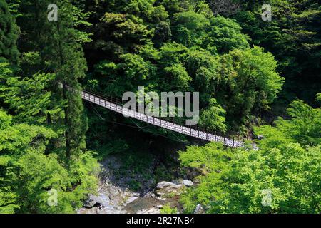 Ponte sospeso Momiki, Gokanosho Foto Stock