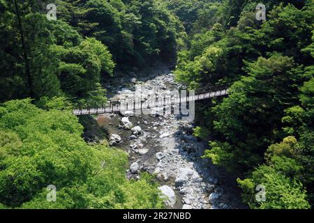 Ponte sospeso Momiki, Gokanosho Foto Stock