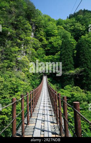 Ponte sospeso Momiki, Gokanosho Foto Stock