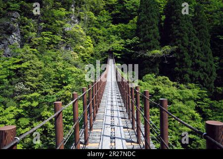 Ponte sospeso Momiki, Gokanosho Foto Stock