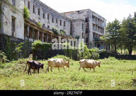 L'ex città termale sovietica di Tskaltubo in Georgia è ora in rovina e i visitatori vengono ad esplorare i suoi edifici abbandonati Foto Stock