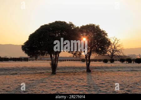 Heizeikyu palazzo sito, alberi, il sole del mattino e gelo Foto Stock