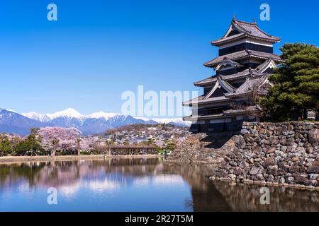 Castello di Matsumoto e Alpi del Nord Foto Stock