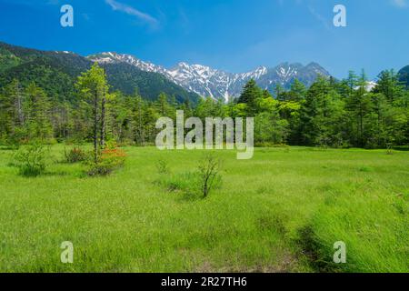 Catena montuosa Hotaka come visto dalla paludi di Tashiro a Kamikochi??? Foto Stock