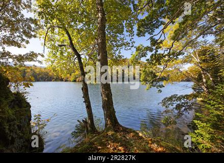 Lago Akan-ko, colori autunnali Foto Stock