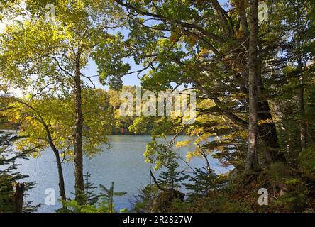 Lago Akan-ko, colori autunnali Foto Stock