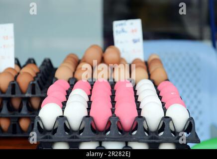 Uova tailandesi in vendita a Bangkok, Thailandia Foto Stock