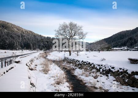 Rovine di Ichijodani Asakura Clan Foto Stock