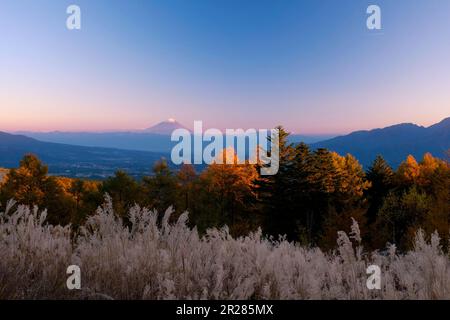 Monte Fuji nella gloriosa luce del sole che tramonta Foto Stock