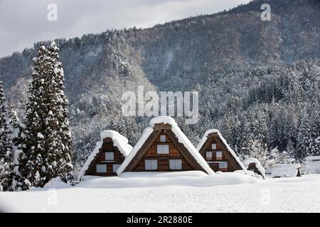 Shiragawago villaggio coperto di neve Foto Stock